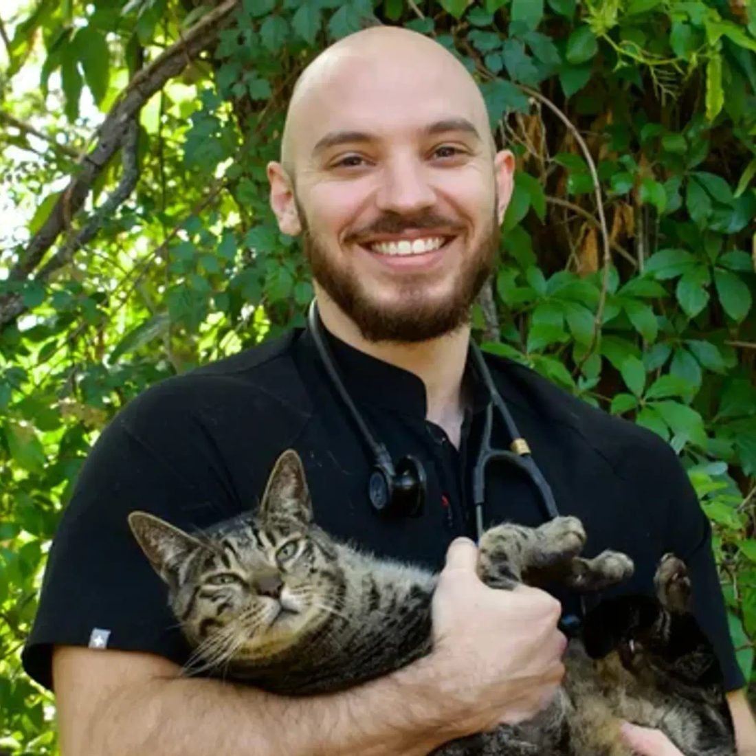 Smiling bald veterinarian holding a tabby cat outdoors